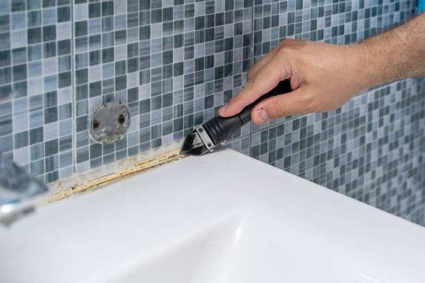 Mold Removal and Inspection in Lake Wylie, SC