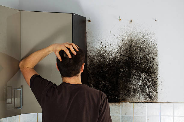 Best Attic Mold Removal  in Lake Wylie, SC